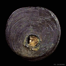 หนุมานเนื้อนวะโลหะ หลวงปู่ทิมวัดละหารไร่ สวยแชมป์ 5