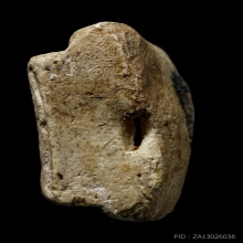 +ติดที่1สมาคม สมเด็จโต เนื้อขาว วัดประสาท