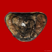 พระบูชาสุโขทัยหน้าตัก 9 นิ้ว 