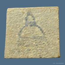 พระสมเด็จบางขุนพรหมพิมพ์คะแนน วัดใหม่อมตรส ปี 2517