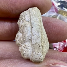 พระสังกัจจายน์ วีดประสาท เนื้อขาว 2506 หน้าตาดีดูง่าย