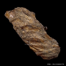 ตะกรุดหนังหน้าผากเสือ หลวงพ่อจง วัดหน้าต่างนอก