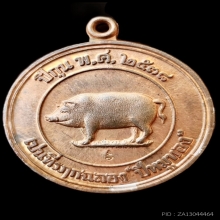 เหรียญหมูมหาลาภ หลวงพ่อสาคร วัดหนองกรับ ปี38 สวยแชมป์