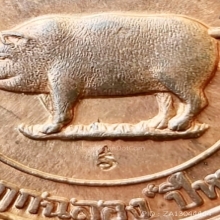 เหรียญหมูมหาลาภ หลวงพ่อสาคร วัดหนองกรับ ปี38 สวยแชมป์