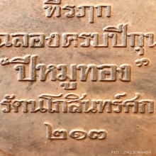 เหรียญหมูมหาลาภ หลวงพ่อสาคร วัดหนองกรับ ปี38 สวยแชมป์