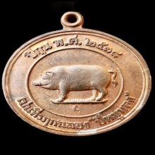 เหรียญหมูมหาลาภ หลวงพ่อสาคร วัดหนองกรับ ปี38 สวยแชมป์