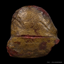 ลูกไม้กัลยาพิมพ์พระพุทธ หลวงพ่อพริ้ง วัดแจ้ง 