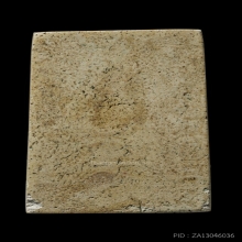 ติดที่1สมาคม พระครูมูล วัดสุทัศน์ เกศบัวตูม