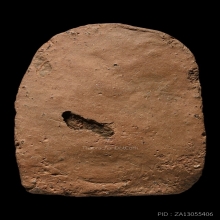 หลวงปู่บุญ พิมพ์ซุ้มแหลมใหญ่ เนื้อดิน พ.ศ. 2456