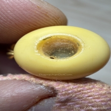 น้ำเต้าดูดเรียกทรัพย์ หลวงพ่อสด วัดปากน้ำ รุ่นแรก สีงานิยม