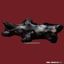 วัวธนูครูบานันตา วัดทุ่งม่านใต้ ปี2500