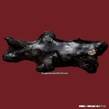 วัวธนูครูบานันตา วัดทุ่งม่านใต้ ปี2500