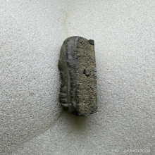 พระกรุวัดนก อ่างทอง ข้างยันต์ เนื้อเขียวหินมีดโกน