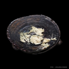 หนุมาน๕๐๐หลวงปู่ทิมปี๑๘