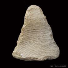 เชตุพนหน้าโหนก