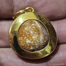 เบี้ยแก้ ทองคำ หลวงปู่เจือ วัดกลางบางแก้ว สวยๆเดิมๆ