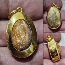 เบี้ยแก้ ทองคำ หลวงปู่เจือ วัดกลางบางแก้ว สวยๆเดิมๆ