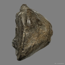 พระพิมพ์เม็ดบัวหลวงพ่อเหลือ วัดสาวชะโงก