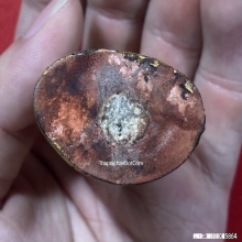 พระสังกัจจายน์หลวงปู่บุญ วัดกลางบางแก้ว จ.นครปฐม เนื้อไม้