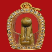 เสือหลวงพ่อปาน หุบปาก 