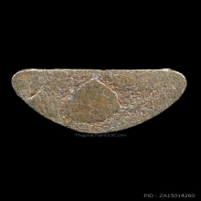 รูปหล่อโบราณรุ่นแรก หลวงพ่อรวย วัดตะโก เนื้อเงิน