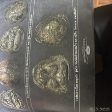 ปิดตาหลวงปู่จีน วัดท่าลาด พิมพ์แข้งหมอนจิ๋ว องค์ดารา