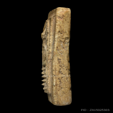 พระสมเด็จเกศไชโย หกชั้นตลอด