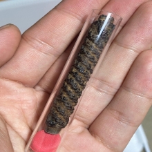 ตะกรุดยันตรีนิสิงเห เนื้อเงิน หลวงพ่อทองสุข วัดสะพานสูง