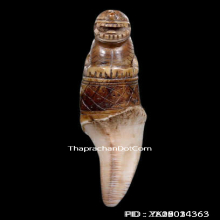 เขี้ยวเสือหลวงพ่อนก วัดสังกะสี ยุคต้นเก่ามาก