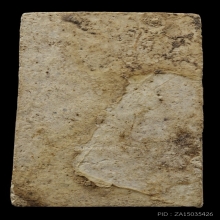 +ติดที่3สมาคม สมเด็จพิมพ์อกครุฑ หลวงปู่ลำภู กรุต้นโพธิ์