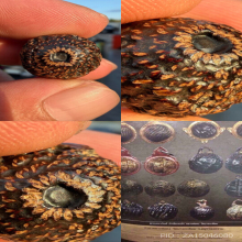 ลูกอมมหากัณฑ์ หลวงพ่อคง วัดบางกะพ้อม จ.สมุทรสงคราม 