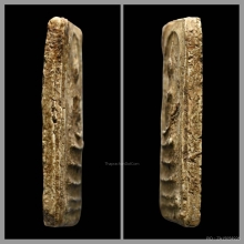 พระสมเด็จบางขุนพรหมพิมพ์เส้นด้าย