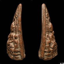 พระเลี่ยง ลำพูน