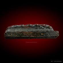 หลวงปู่ทวด เตารีดพิมพ์ใหญ่ปั๊มซ้ำ ปี05 