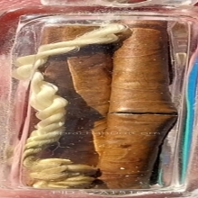 ตะกรุดสาริกา ลป.ทิม ยาว 1.5 นิ้ว มองเห็นรอยจารชัดเจน