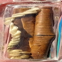 ตะกรุดสาริกา ลป.ทิม ยาว 1.5 นิ้ว มองเห็นรอยจารชัดเจน