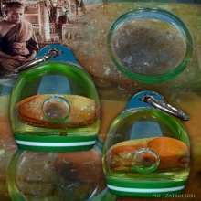 พญาเต่าเรือน หลวงพ่อสนิท วัดลำบัวลอย