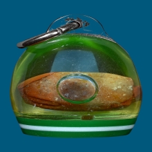 พญาเต่าเรือน หลวงพ่อสนิท วัดลำบัวลอย