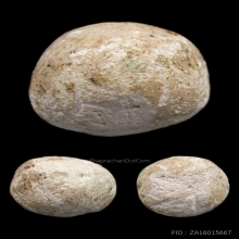 ลูกอมมหากัณฑ์ หลวงพ่อคง วัดบางกะพ้อม