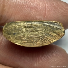 ปั๊มเล็กจมูกชมพู่นิยม พ่อท่านคล้าย ปี 2505 