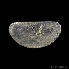 龙婆银 2515 หลวงพ่อเงิน วัดท้ายน้ำ หน้ายักษ์ก้นอุ