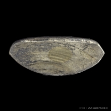 รูปหล่อหลวงพ่อเงิน ปี 2515 วัดท้ายน้ำ เนื้อเงิน