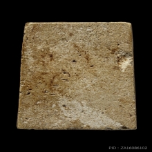 ติดที่3สมาคมสามพราน สมเด็จปรกโพธิ์ วัดประสาท