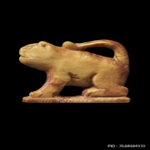 เสือหลวงพ่อเฮง วัดเขาดิน จ.นครสวรรค์