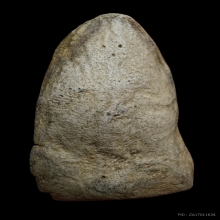 พระรอดกรุวัดมหาวันพิมพ์ตื้น