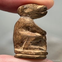 ลิง วัดบางวัว