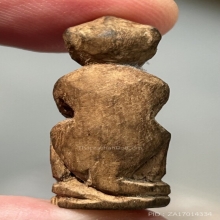 ลิง วัดบางวัว