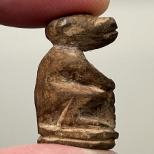 ลิง วัดบางวัว