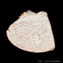 รูปหล่อจิ๋ว หลวงพ่อเกษม เขมโก เนื้อเงิน ปี2536 สวยแชมป์