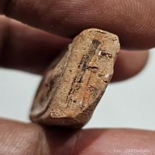 หลวงพ่อโหน่ง วัดคลองมะดัน สมเด็จ ปรกโพธิ์ สวยเดิม